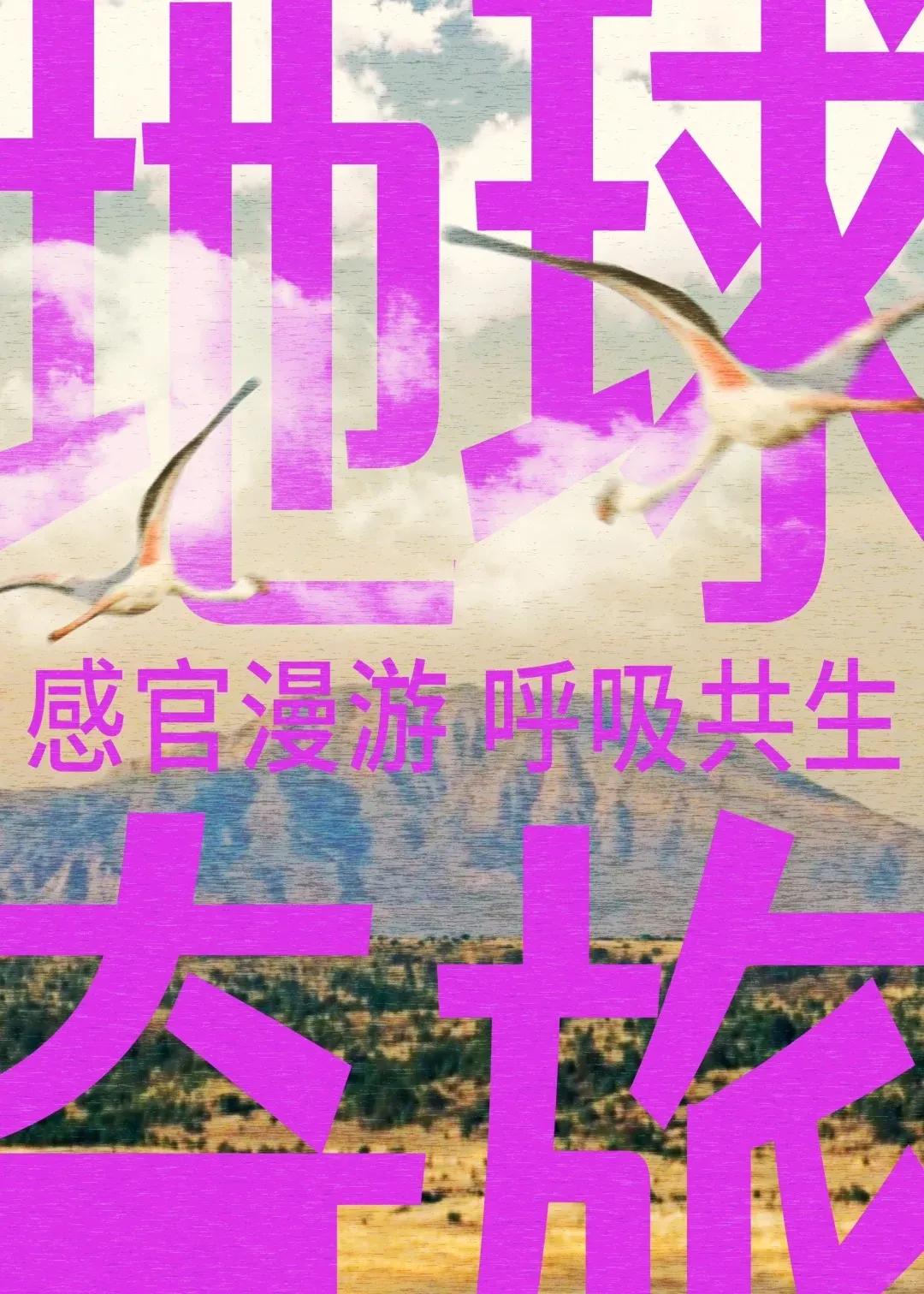 一場地球奇旅，喚醒感官，重啟對世界的感知