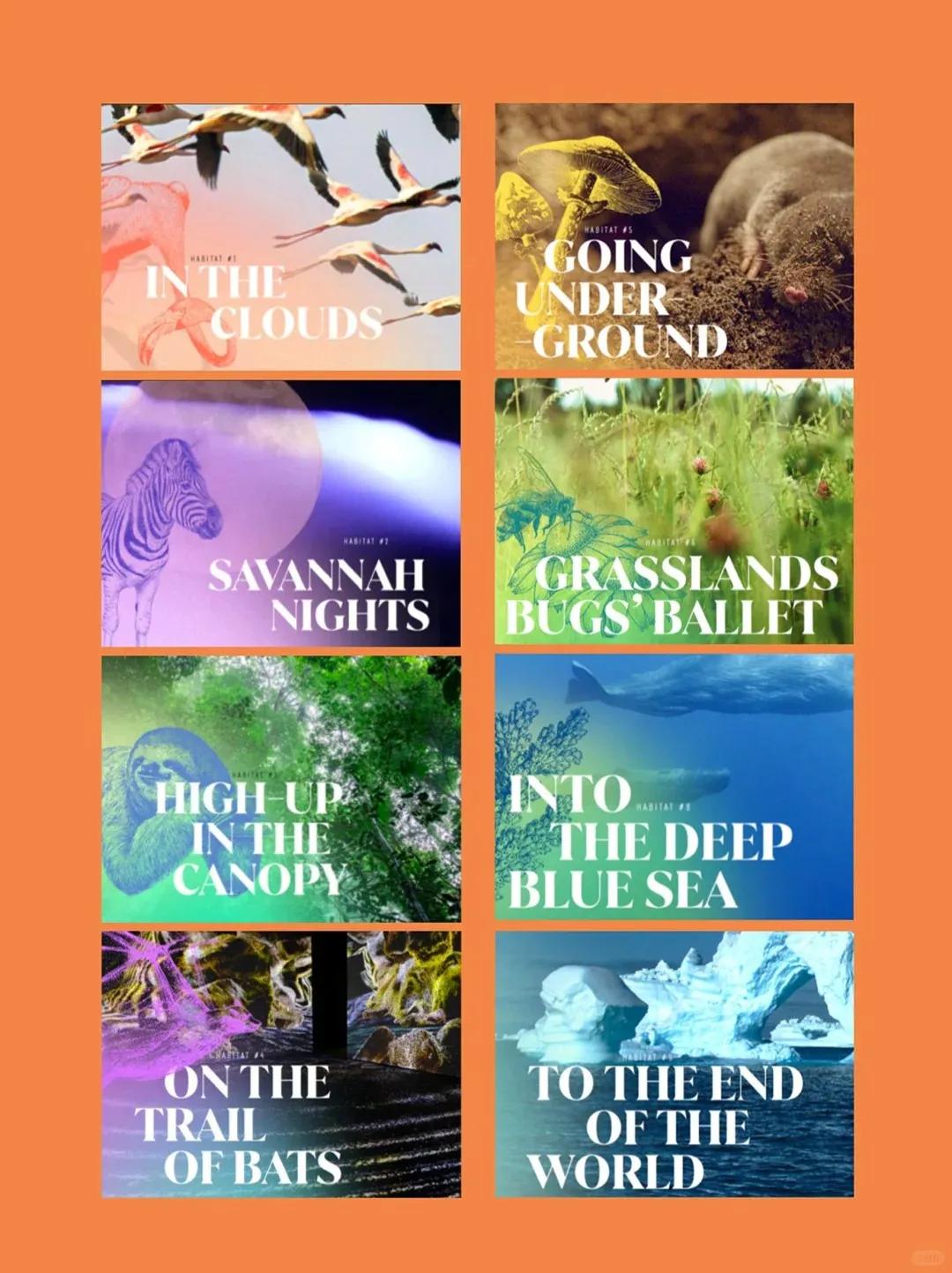 1756452112593907.jpg 640 (1)(1).jpg